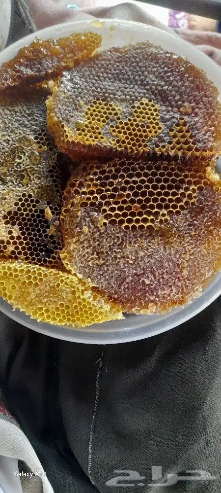 عسل صيفي 7