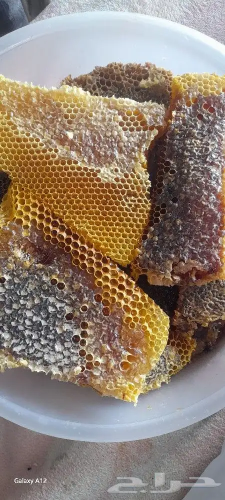 عسل صيفي 5