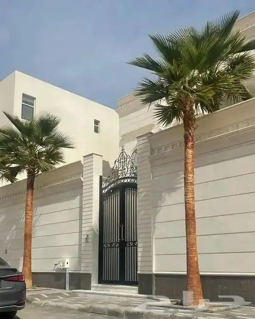 نخل زينة 0