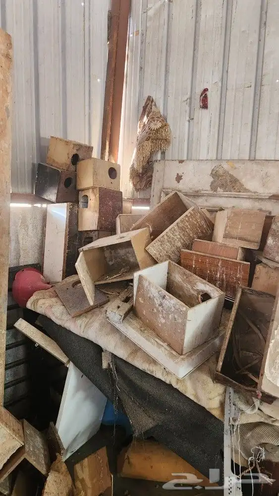 للبيع القفص بيضه اجهزين تنظيف اكل 0