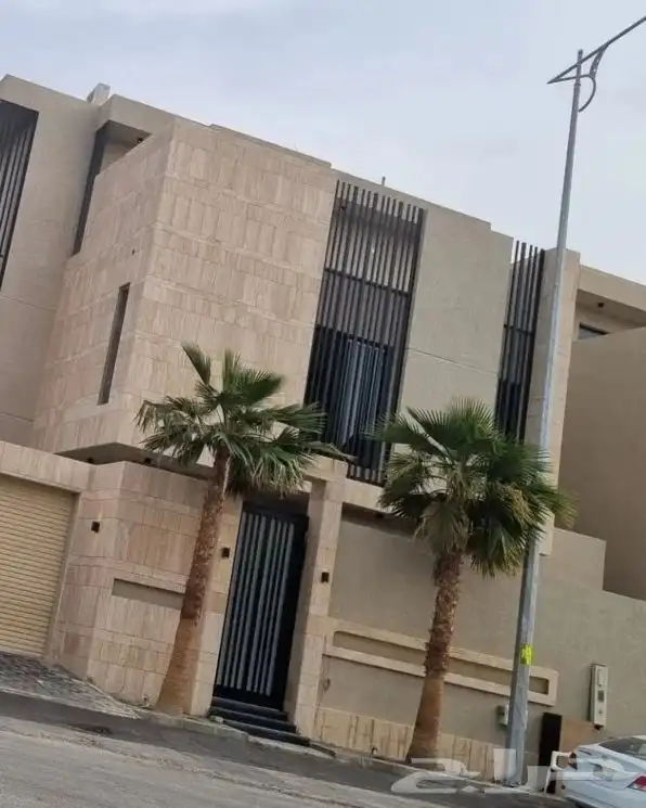 نخل زينة 2