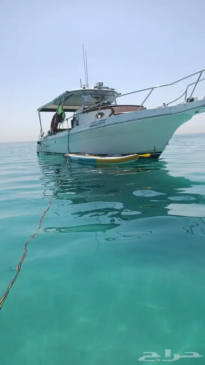 رحلات بحريه صيد وسباحه ونزهه ( شباب وبنات وعوائل) 0