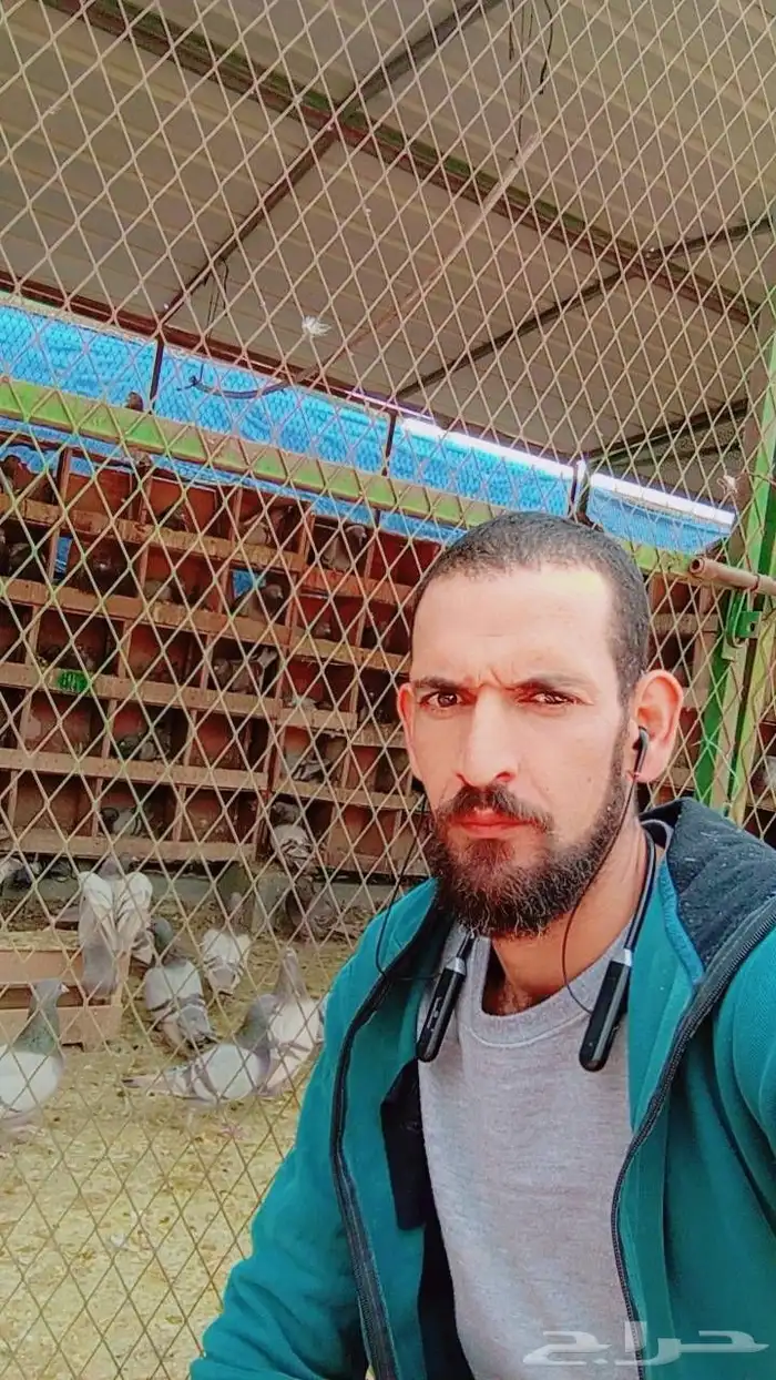 معلم وخبير في تربية الحمام وعمل دراسة جدوى للمشروع 6