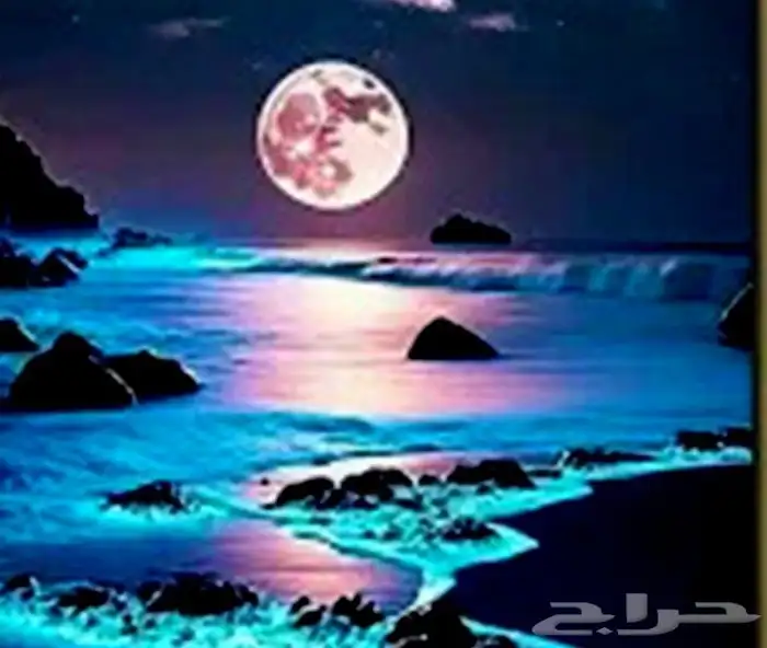 ورق جدران 3dحسب الطلب وتفصيل الاستانلس 0