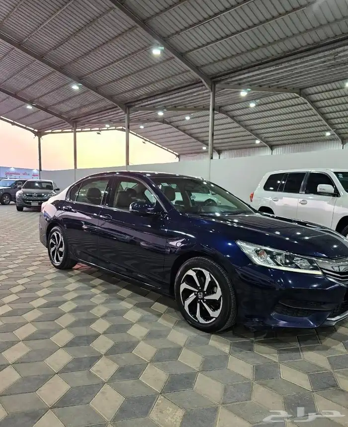 كورد 2017 1