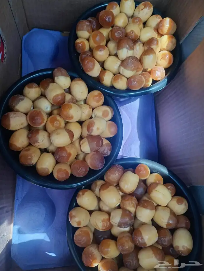 رطب هلالي للبيع 2