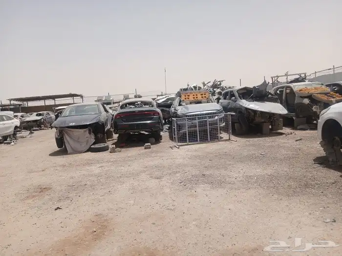 فينو 2024 4