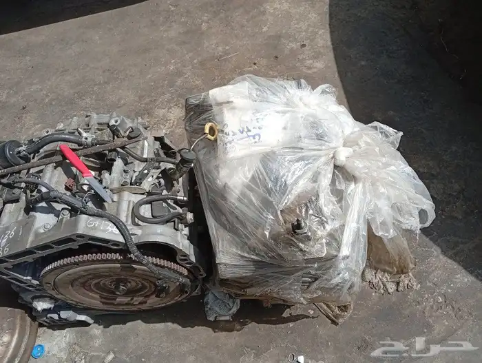 قيرات شد بلد مستورده 8