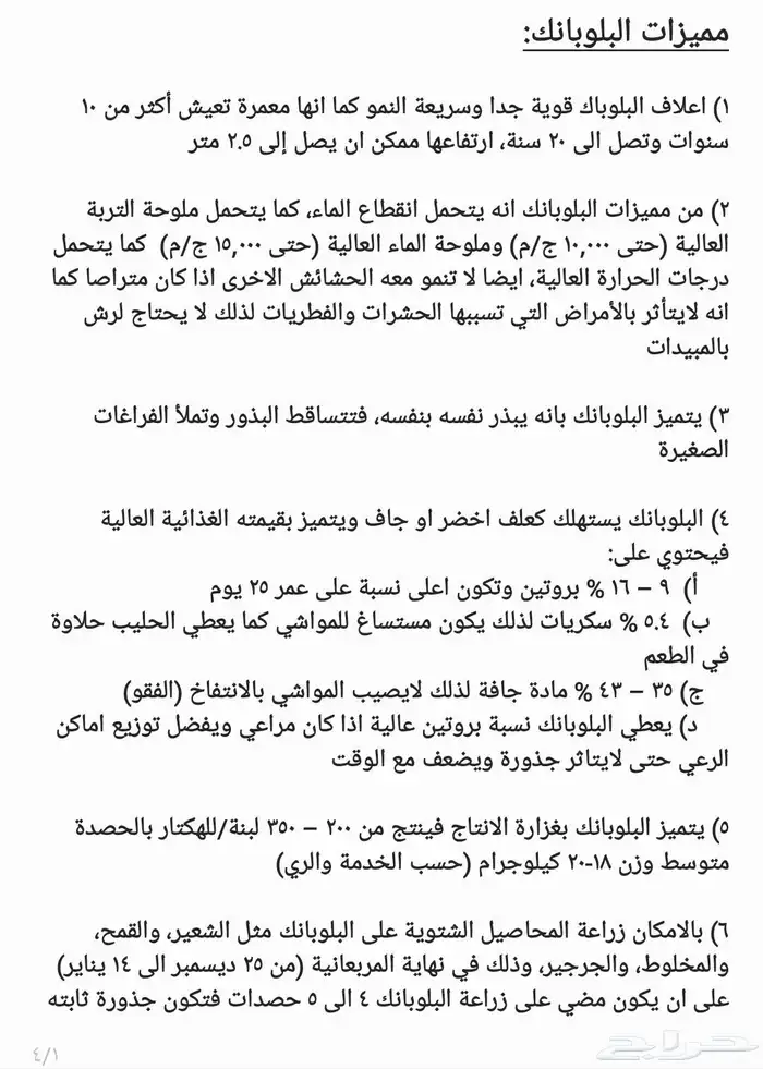 بذر بذور بلوبانك بلوبنك 1