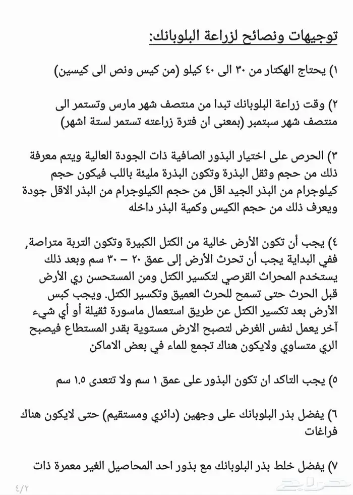 بذر بذور بلوبانك بلوبنك 2