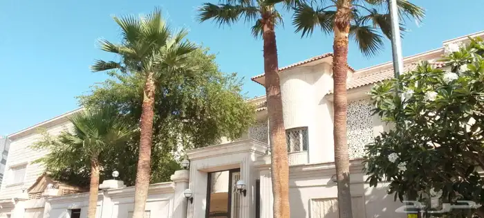 سلام عليكم نقوم بتكريب نخل العربي ول واشنطونيا 2