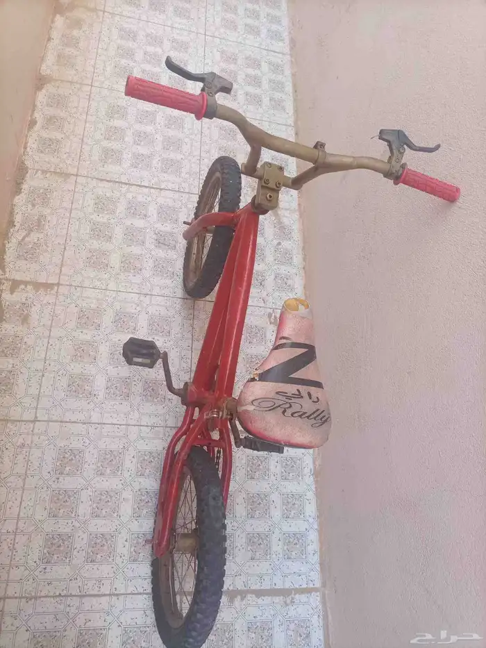 سيكل كوبرا على السوم 2