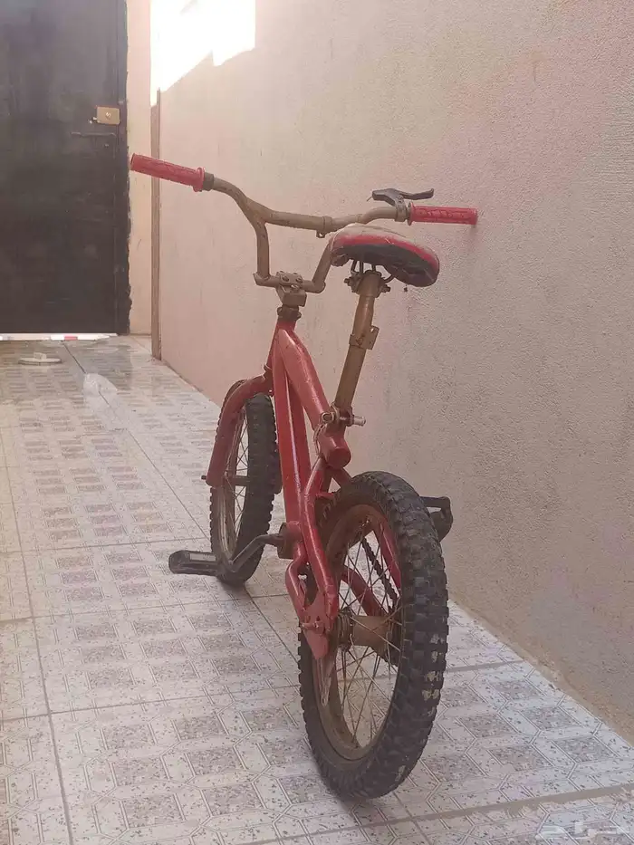 سيكل كوبرا على السوم 1