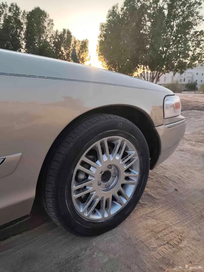 جنوط ماركيز لمتد 1