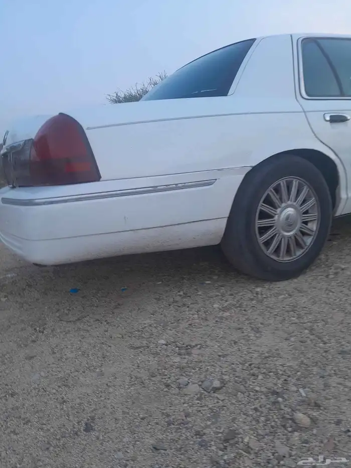 بيشه 0