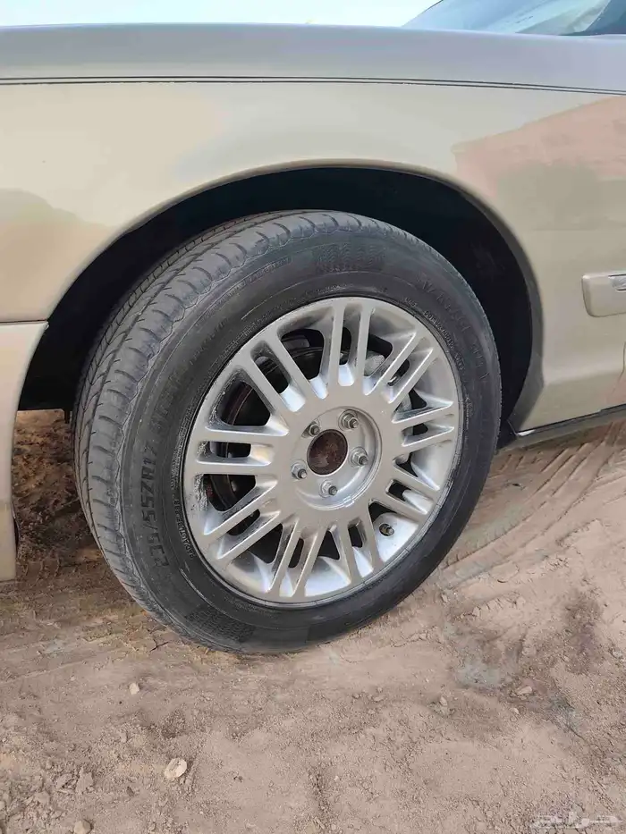 جنوط ماركيز لمتد 2