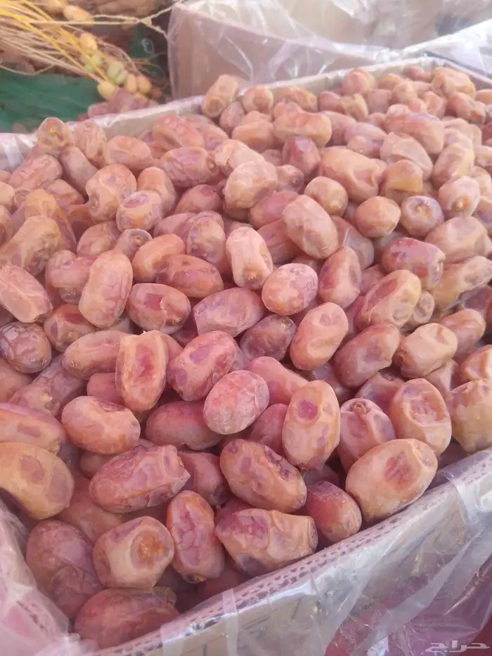 تمور اخلاص فاخره للبيع 0