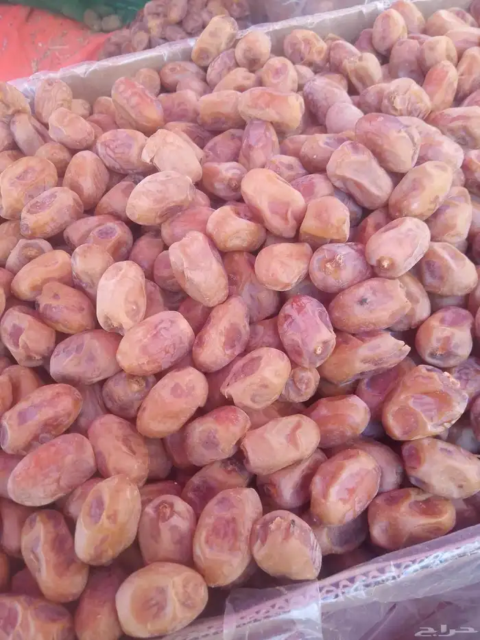 تمور اخلاص فاخره للبيع 1
