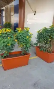 مشتل تنسيق حدائق 8