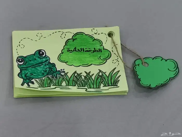 تسطير دفاتر لجميع الصفوف ومطويات 1