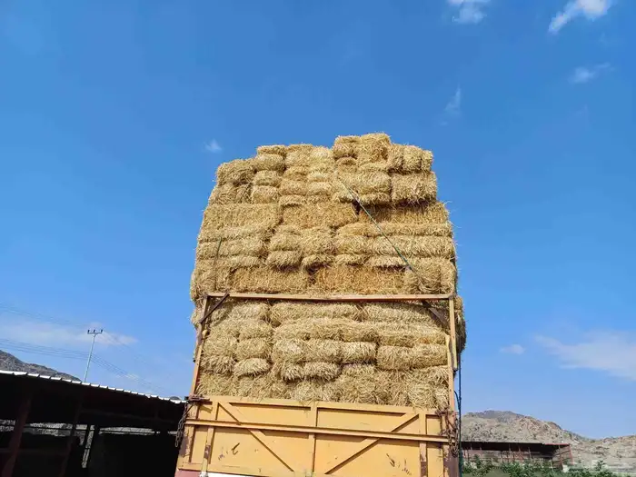 لبيع جميع انواع الاعلاف بالطائف 1
