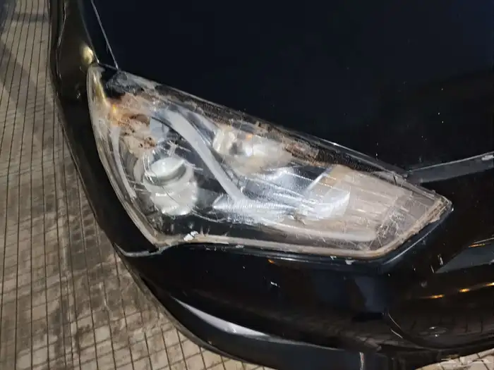 جينسس كوبيه 2016 10