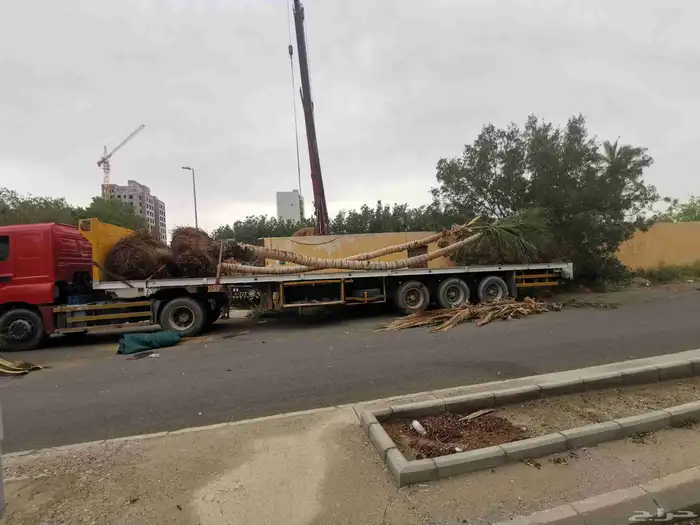 إيجار وانش كرين رافعا رقم جوال جدة 2