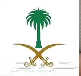 يوجد لدينا علم يوم الوطني واصور 8