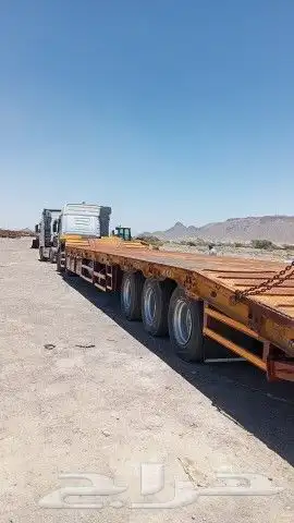 لوبد متواجد في المدينه 0