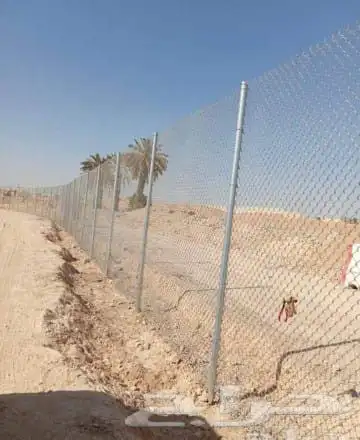تركيب.الشبوك وزراعه.النخيل 6