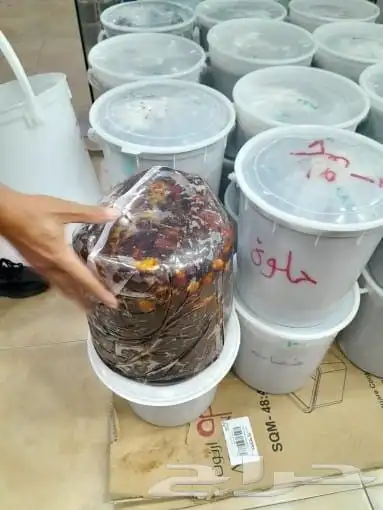 تمور حائل الفاخره 6