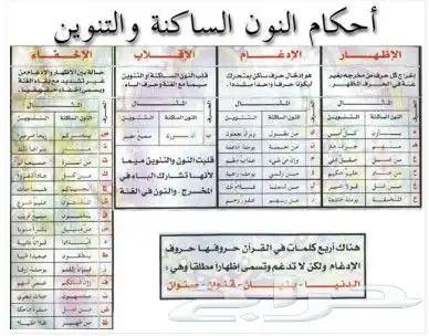 معلم تأسيس وقران وتجويد وقراءات للأطفال وكبار السن 0