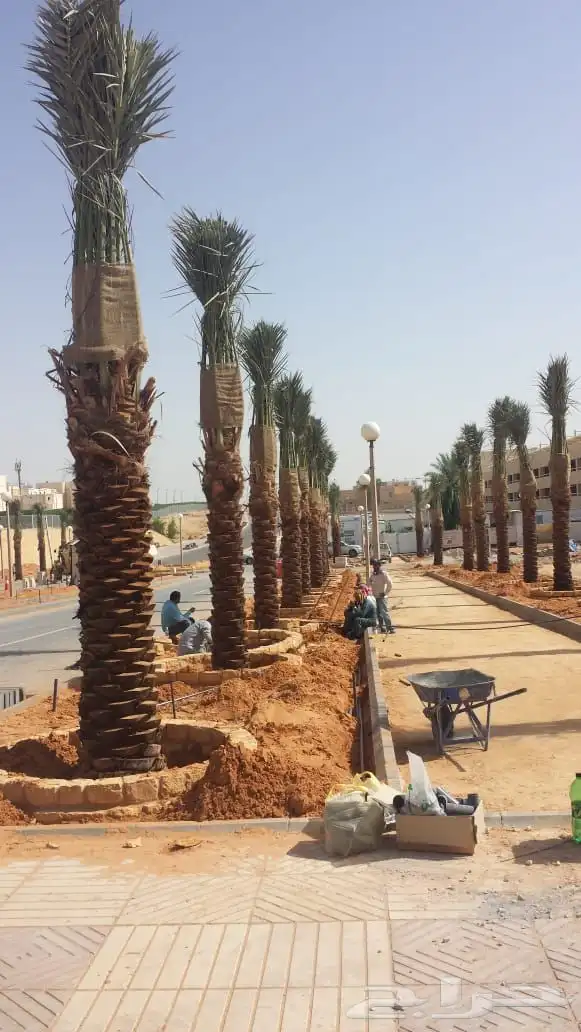 تسوير المزارع والأراضي والملاعب وتركيب مستودعات 14