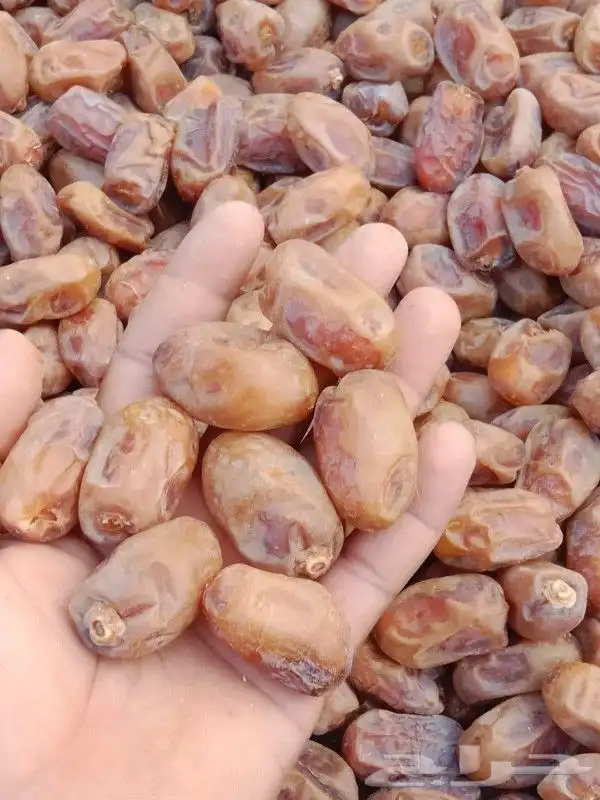 يوجد حوالي 20 طن خلاص طيب ونظيف ولون طيب 0
