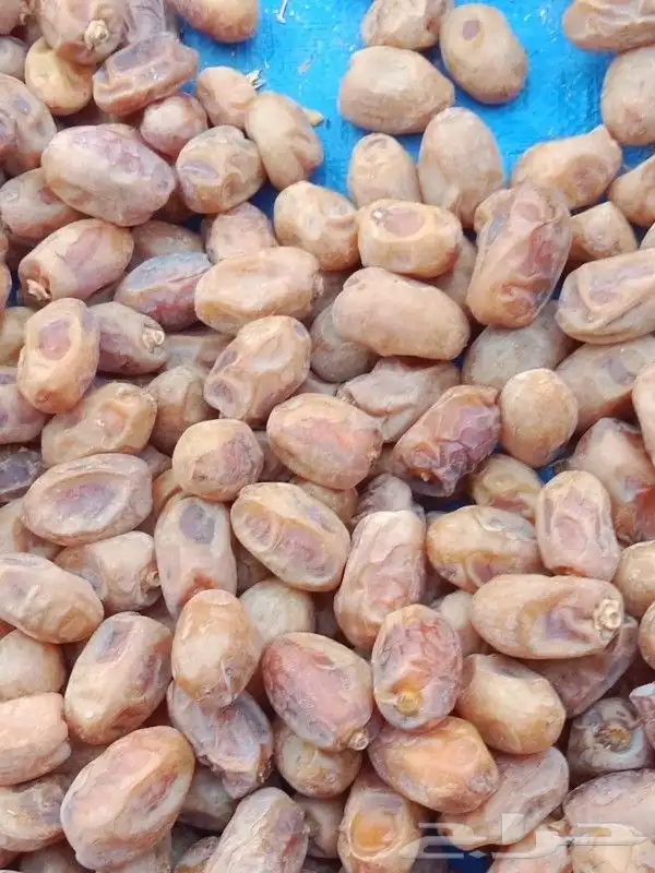 يوجد حوالي 20 طن خلاص طيب ونظيف ولون طيب 1