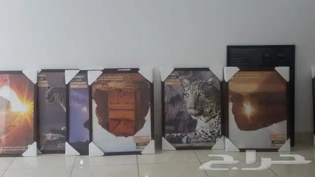 لوحات كانفس 5