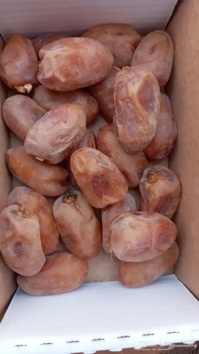 تمر للبيع اخلاص اشيقر حبه فاخر 1