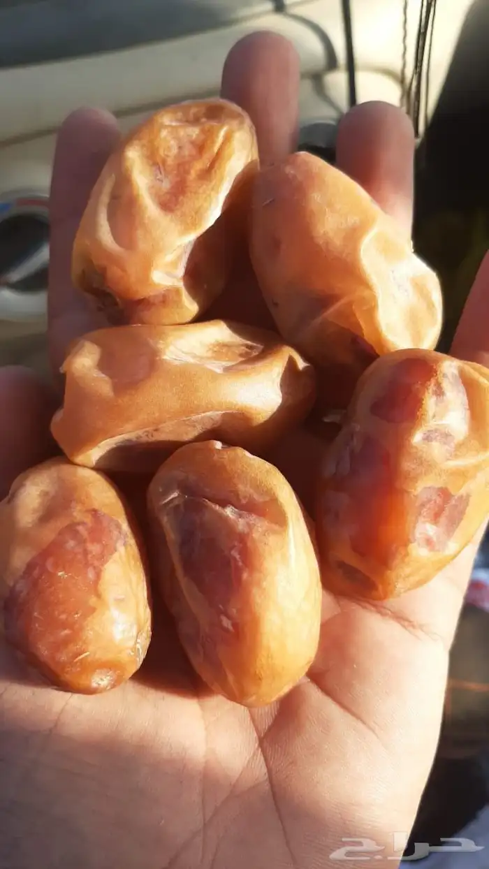 تمر للبيع اخلاص اشيقر حبه فاخر 2