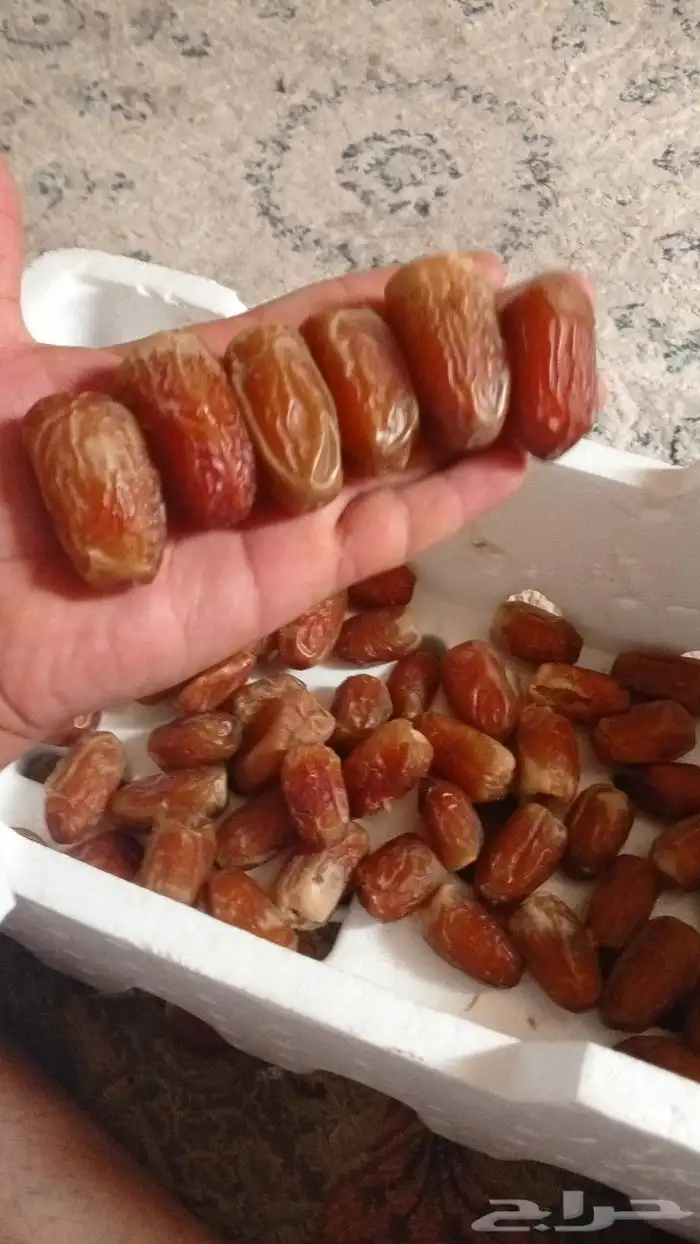 السلام عليكم ورحمه الله وبركاته يوجد لدينا جميع انواع انخيل 3