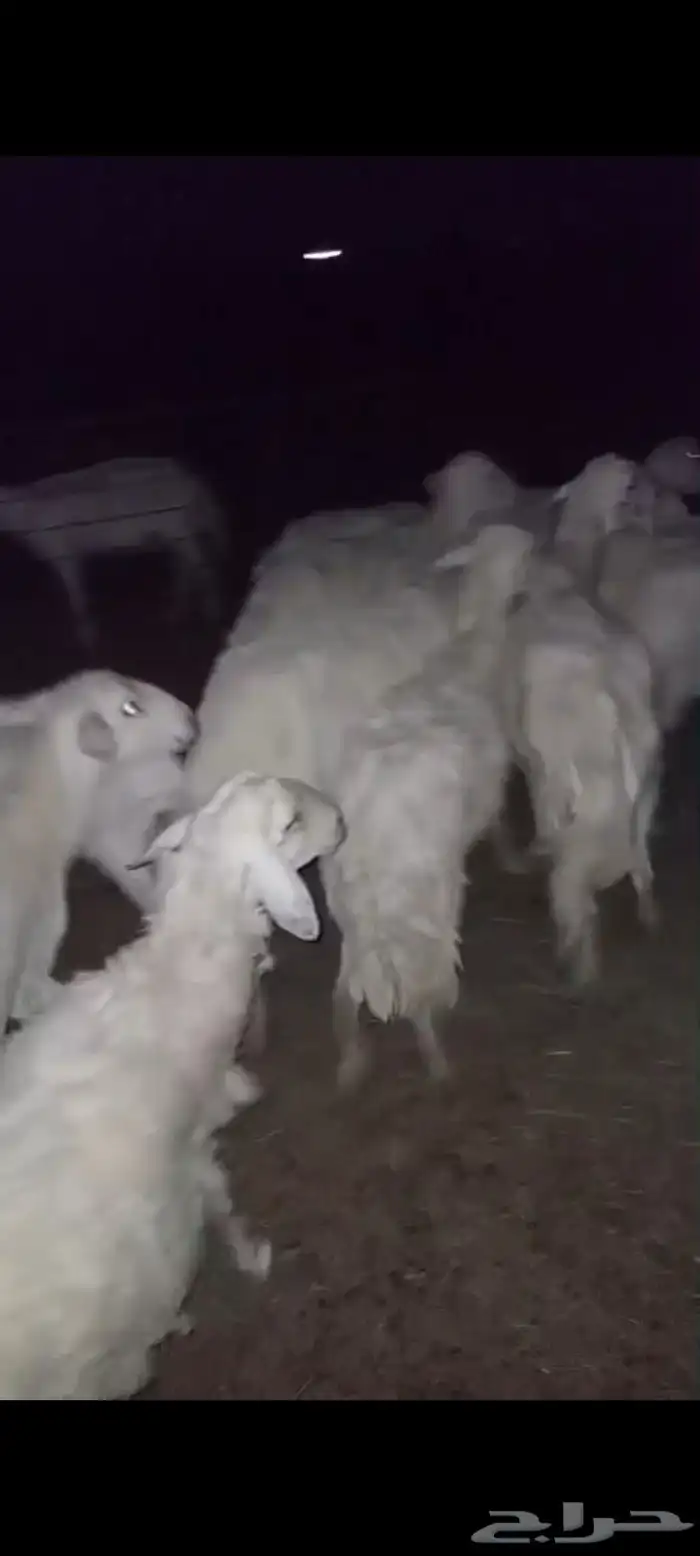 السلام عليكم ورحمة الله وبركاته 2