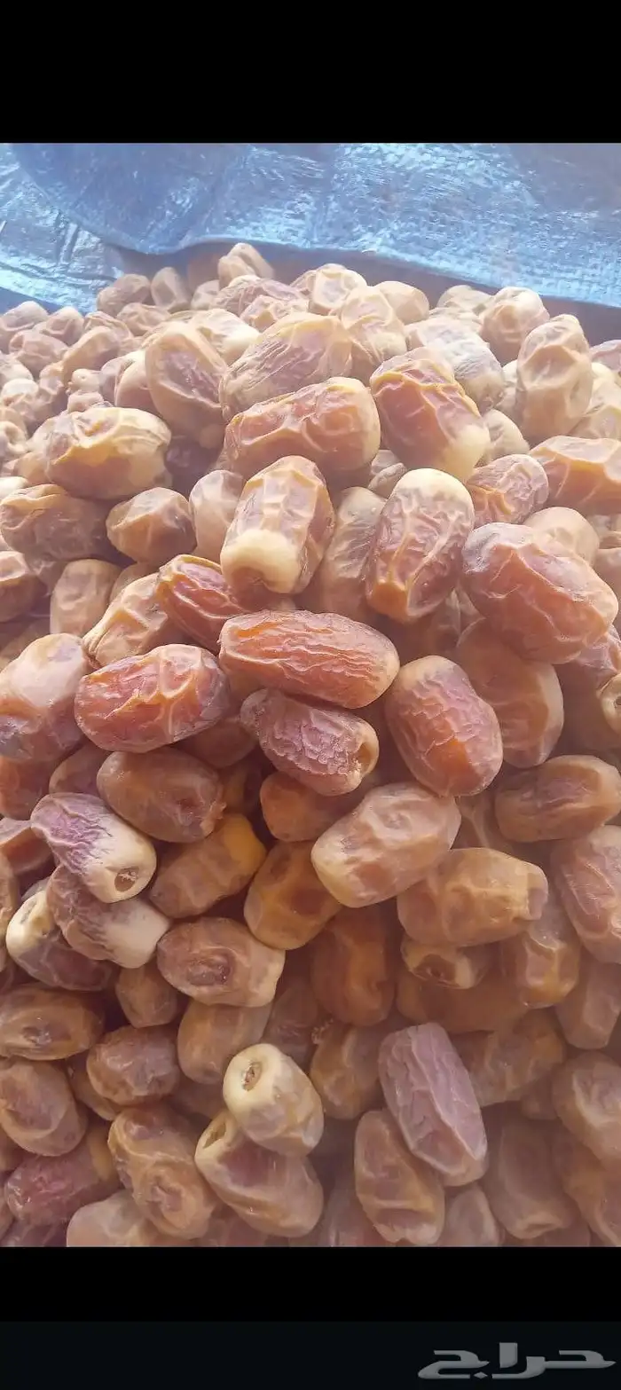 السلام عليكم ورحمه الله وبركاته يوجد لدينا جميع انواع انخيل 2