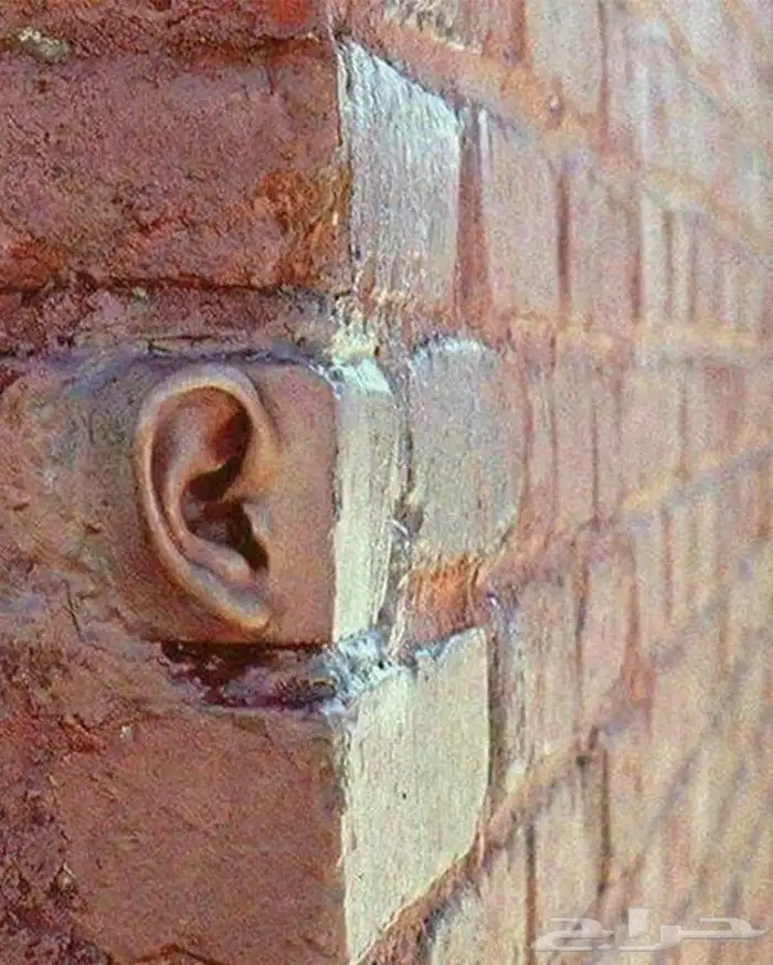 لوحات تلصيق للحائطوديكور ورق 2