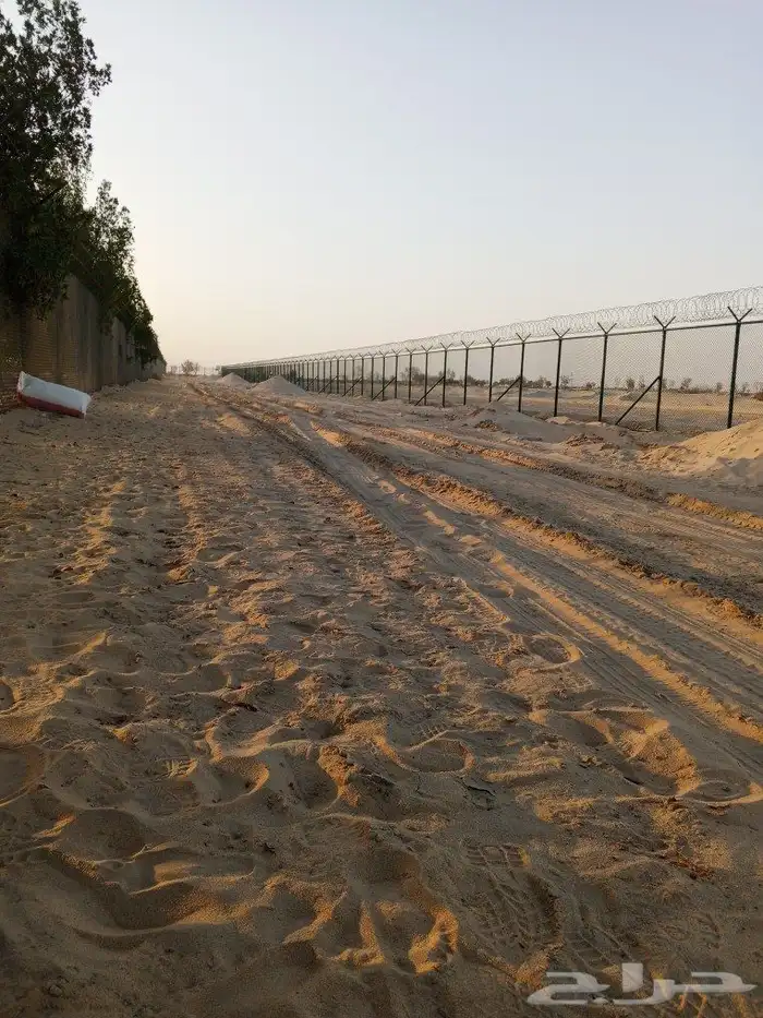 لتوريد النخيل وشغل الشبك ت 7