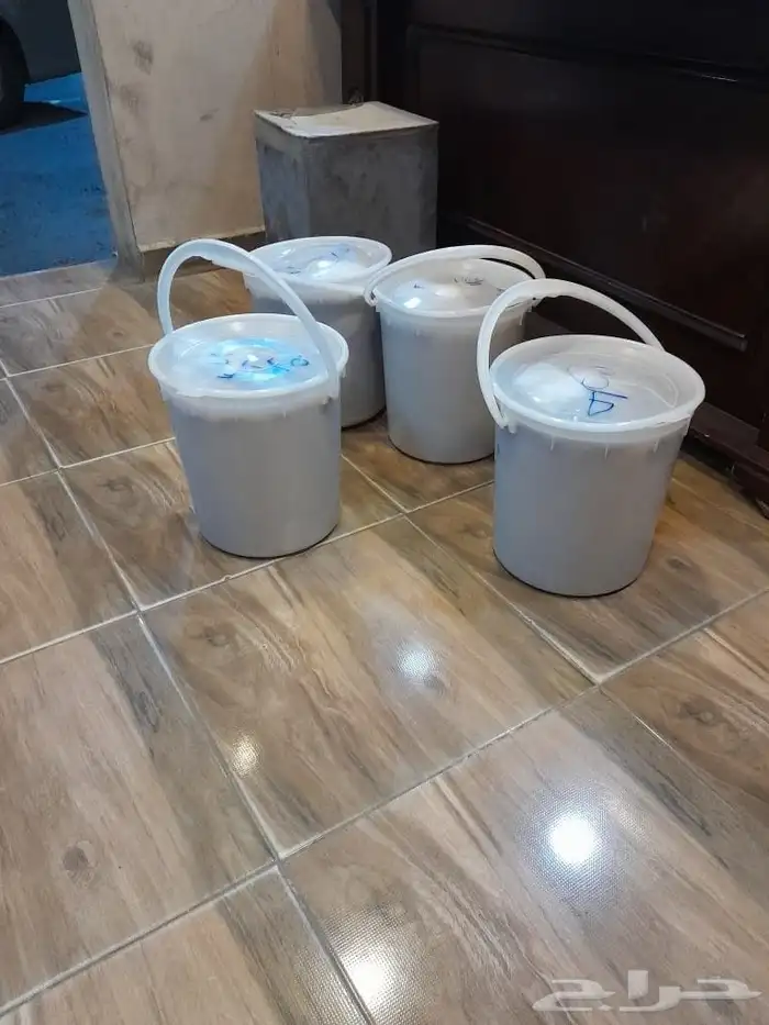 تمور حائل الفاخره 8