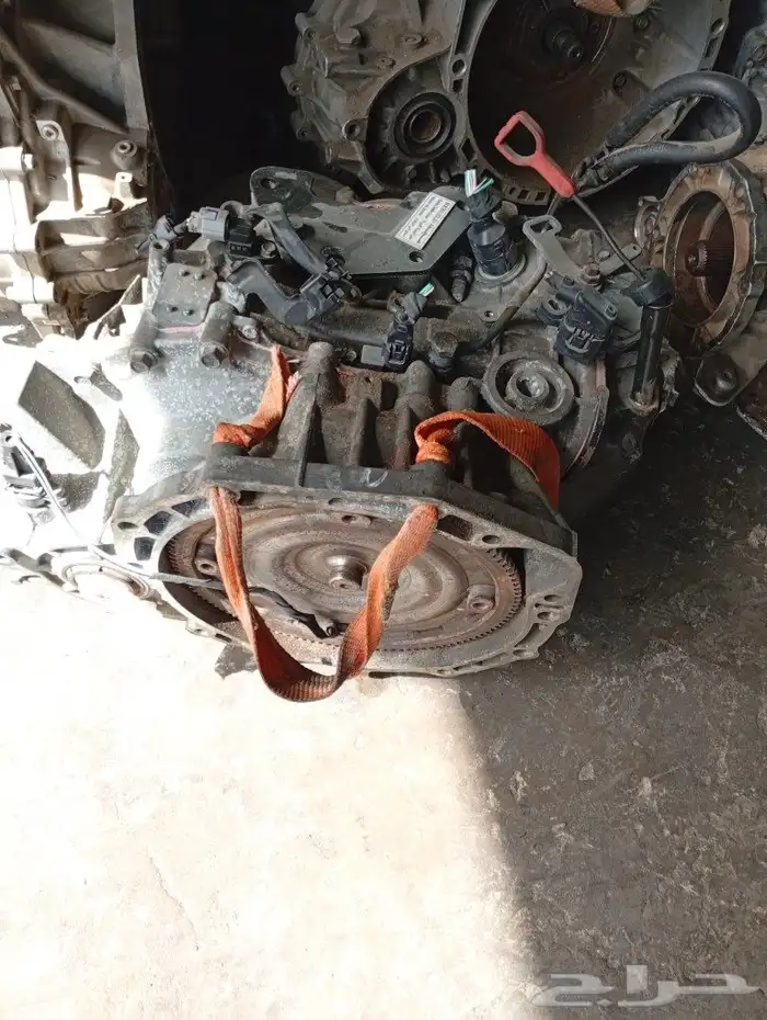 قيرات شد بلد مستورده 7