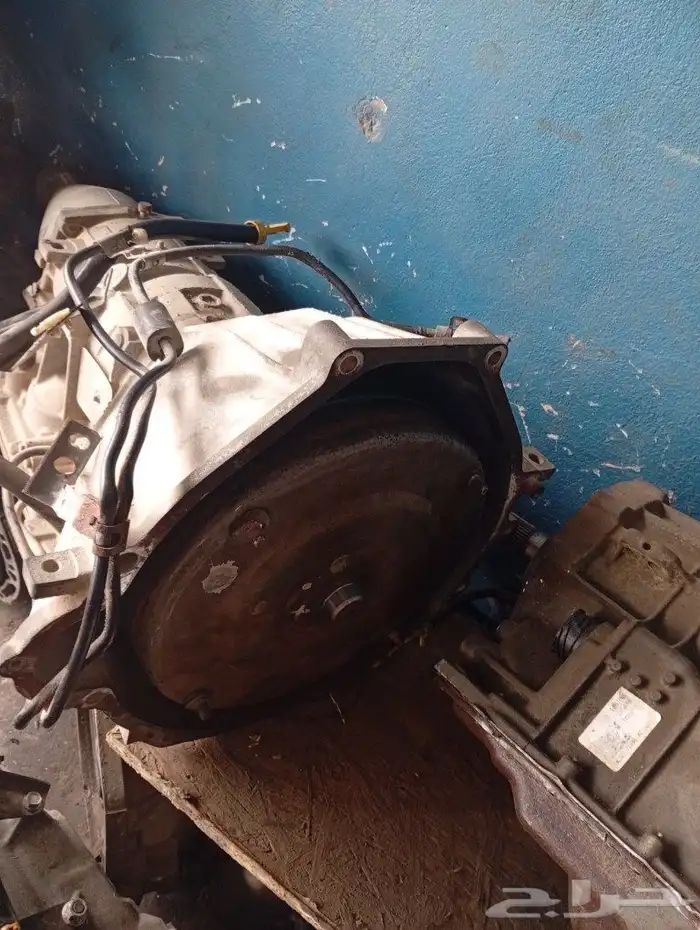 قيرات شد بلد مستورده 4