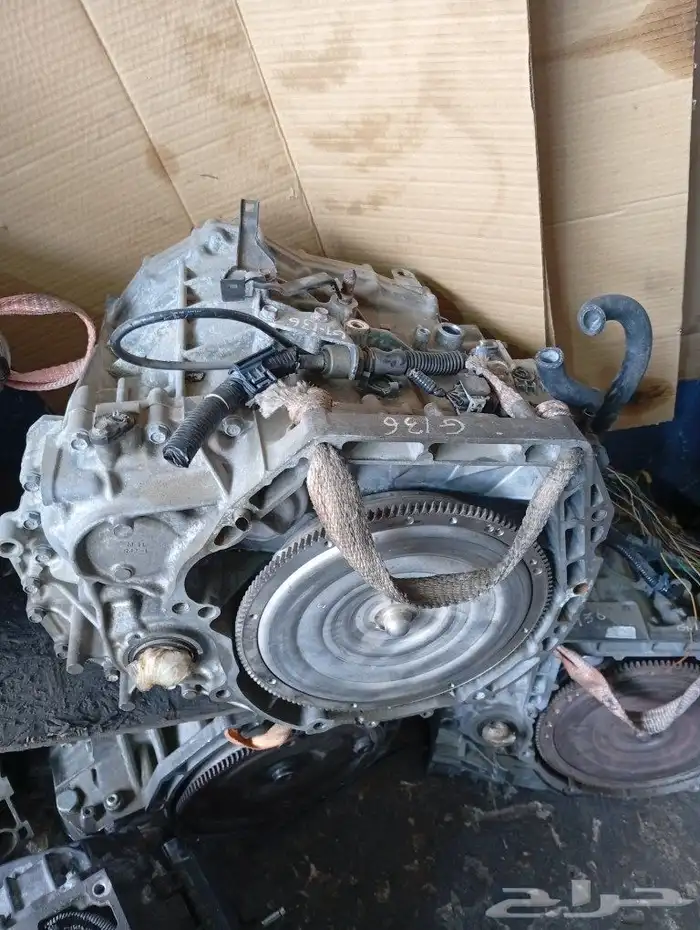 قيرات شد بلد مستورده 9