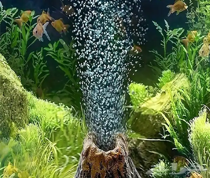 لوحات تلصيق للحائطوديكور ورق 1