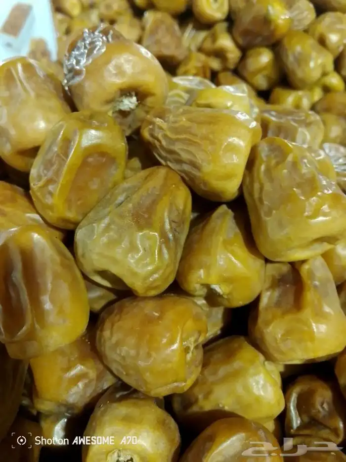 مفتل جلكسي أنواع التمور 1