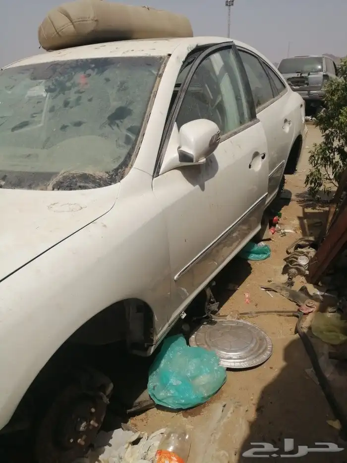 أزيرا 2010 3